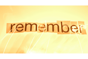 des311j_remember_new