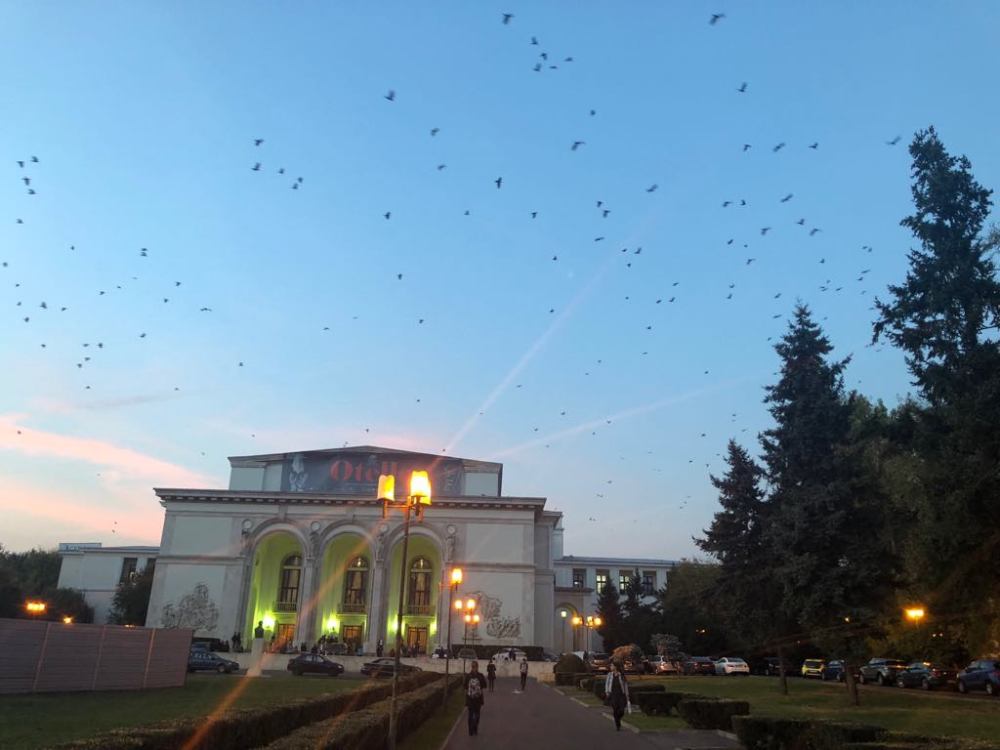 43421430_247492979241826_5541431719434911744_n